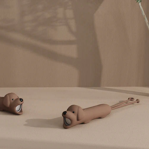 Lampe torche chien ou chat WIN