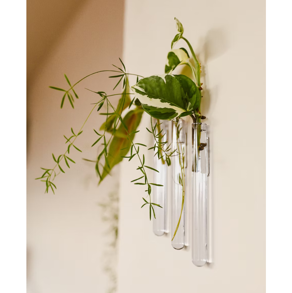 Vase tube verre S WAL