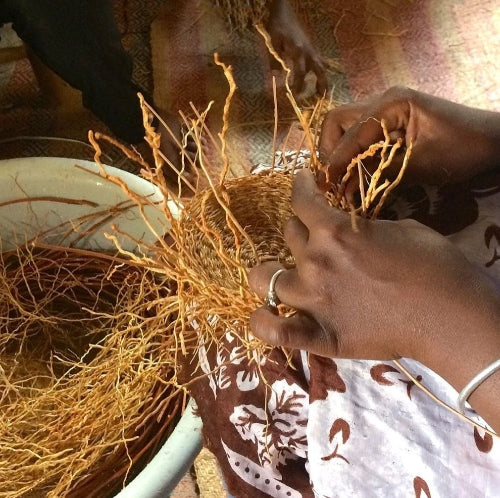 Nid en Vetiver différentes tailles PAS/VET