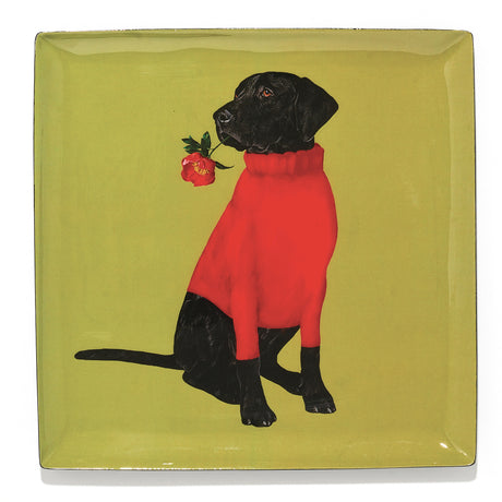 Vide poche rectangle GAN