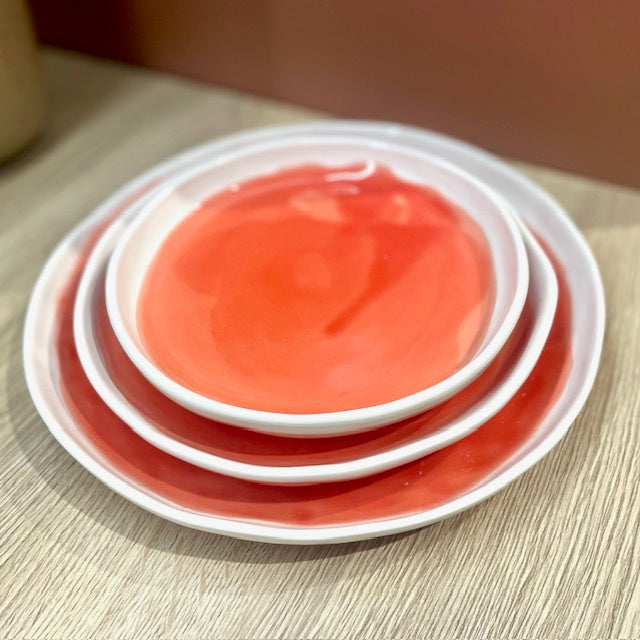 Assiettes unies TERRA DUR