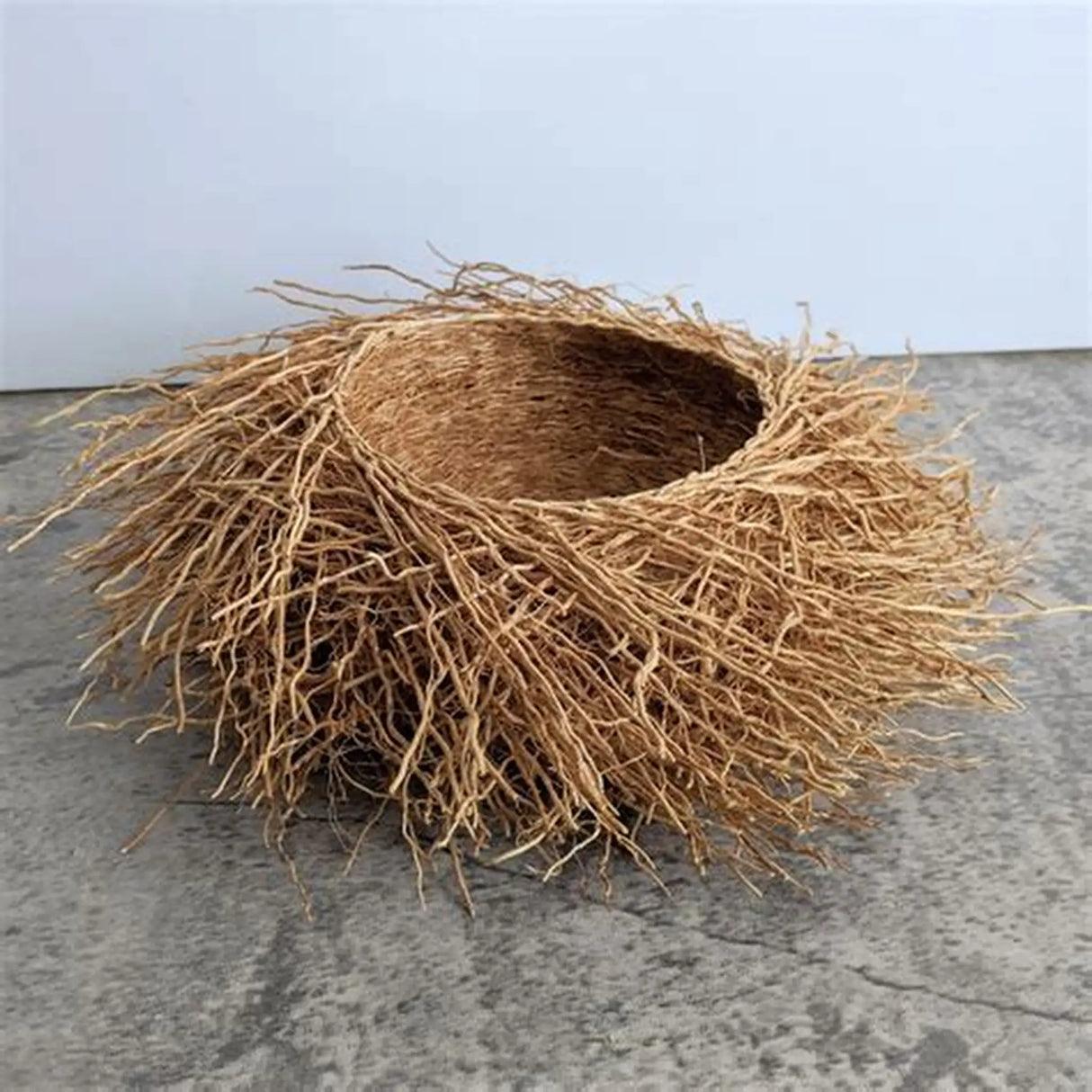 Nid en Vetiver différentes tailles PAS/VET