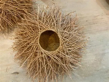 Nid en Vetiver différentes tailles PAS/VET