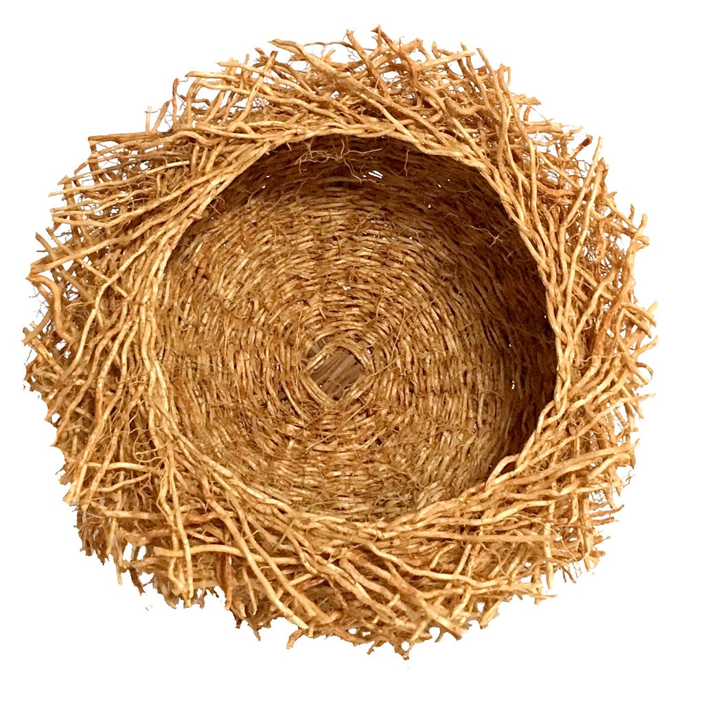 Nid en Vetiver différentes tailles PAS/VET