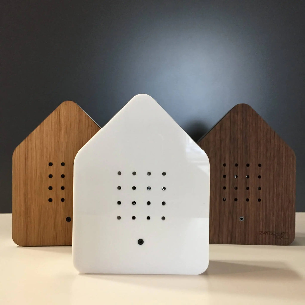 Enceinte bois chant des oiseaux REL