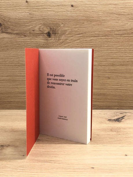 Carnet poche gallimard B&C