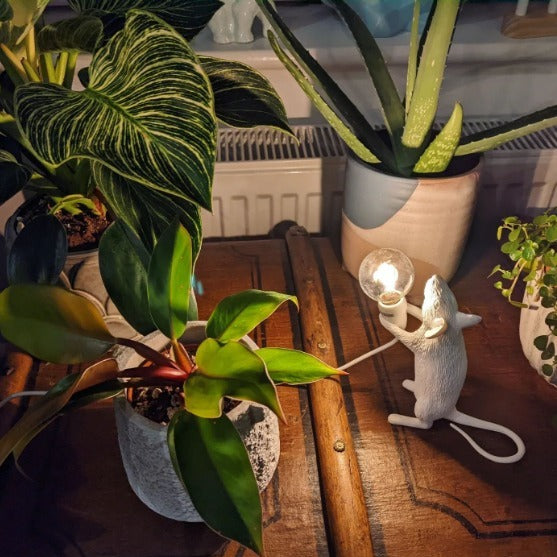 Ampoule Lampe Souris et Singe SEL