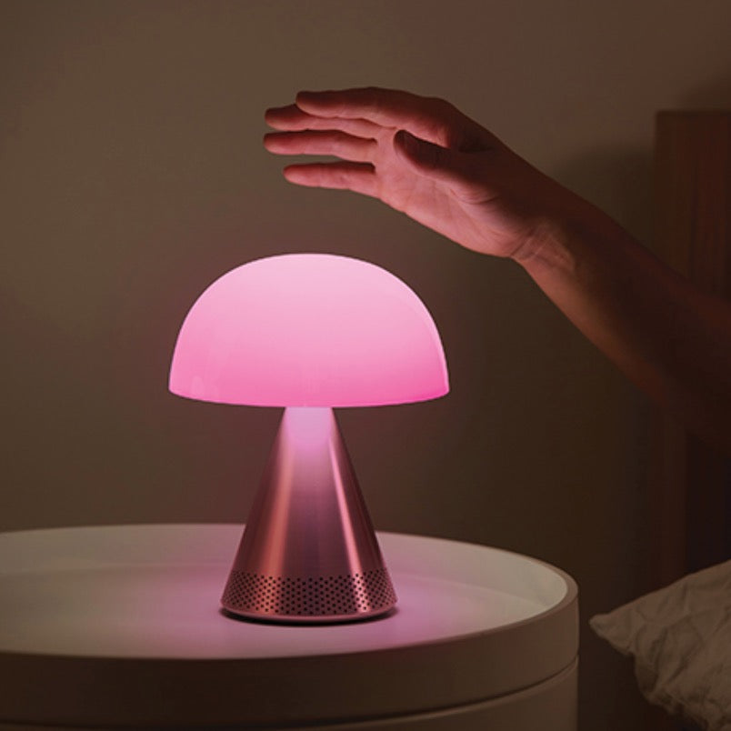 Enceinte mina géante LEX