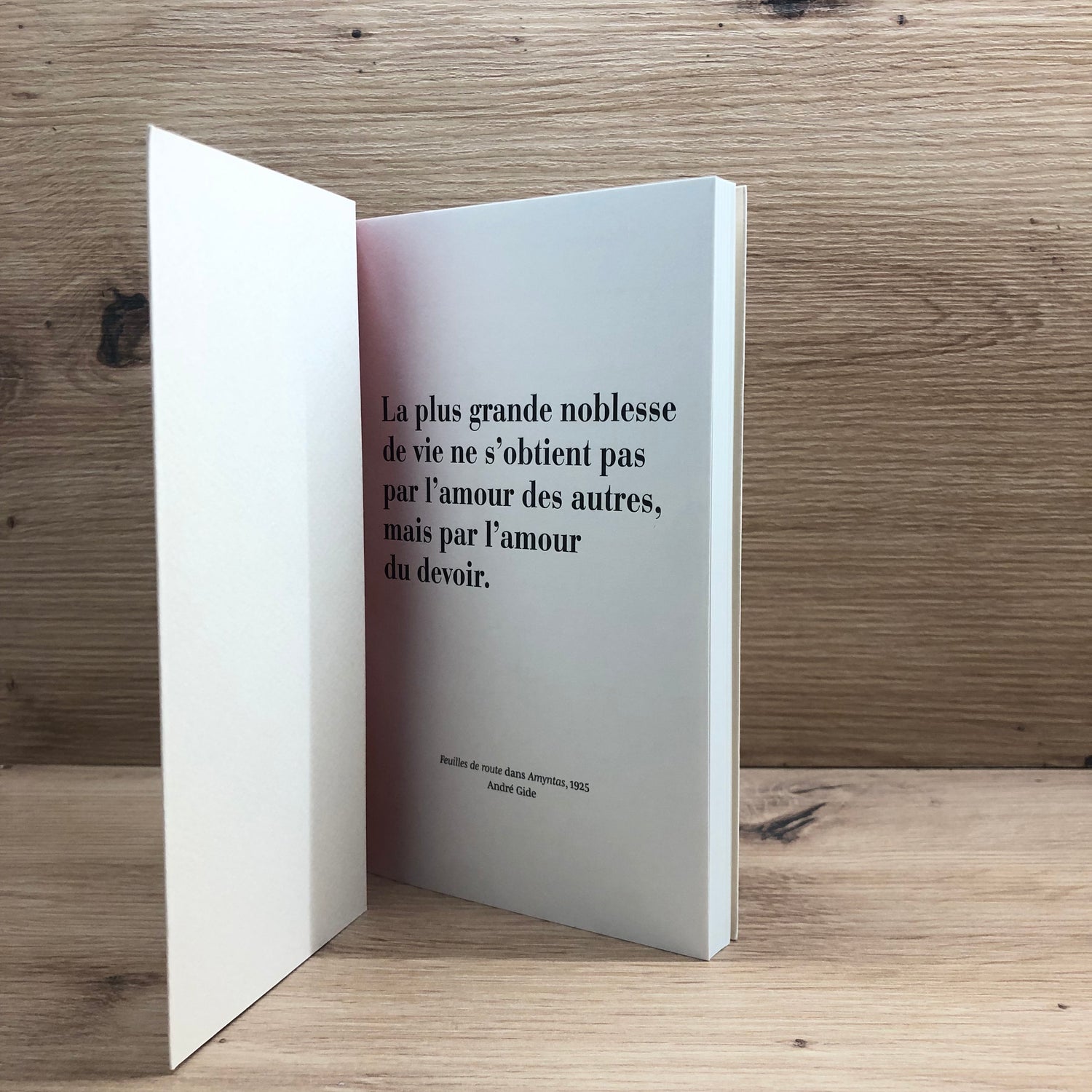 Carnet gallimard moyen B&C