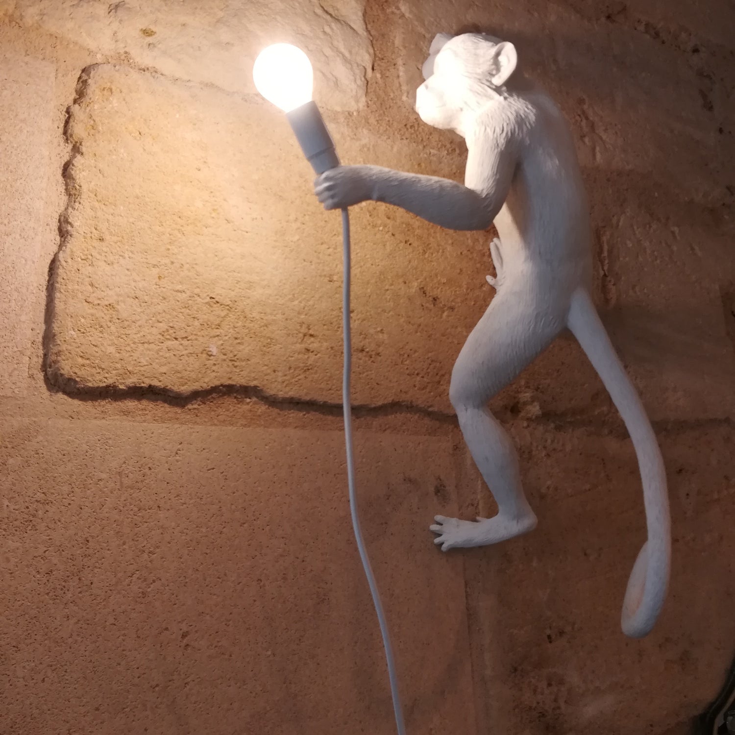 Ampoule Lampe Souris et Singe SEL