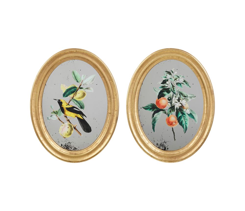 Cadre miroir décoratif fruits et oiseaux SEM