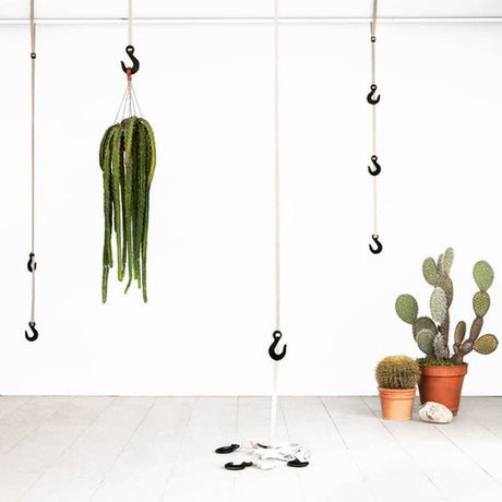 Mousqueton herbe par 3 HOO