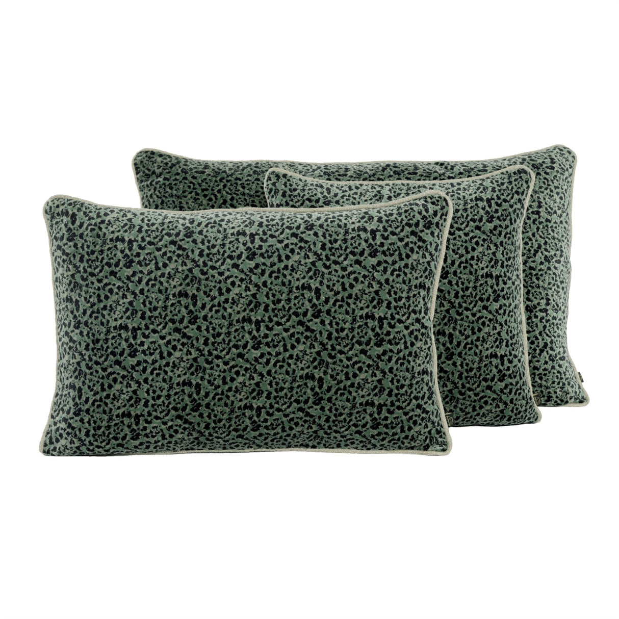 Coussin carré velours ras HAO