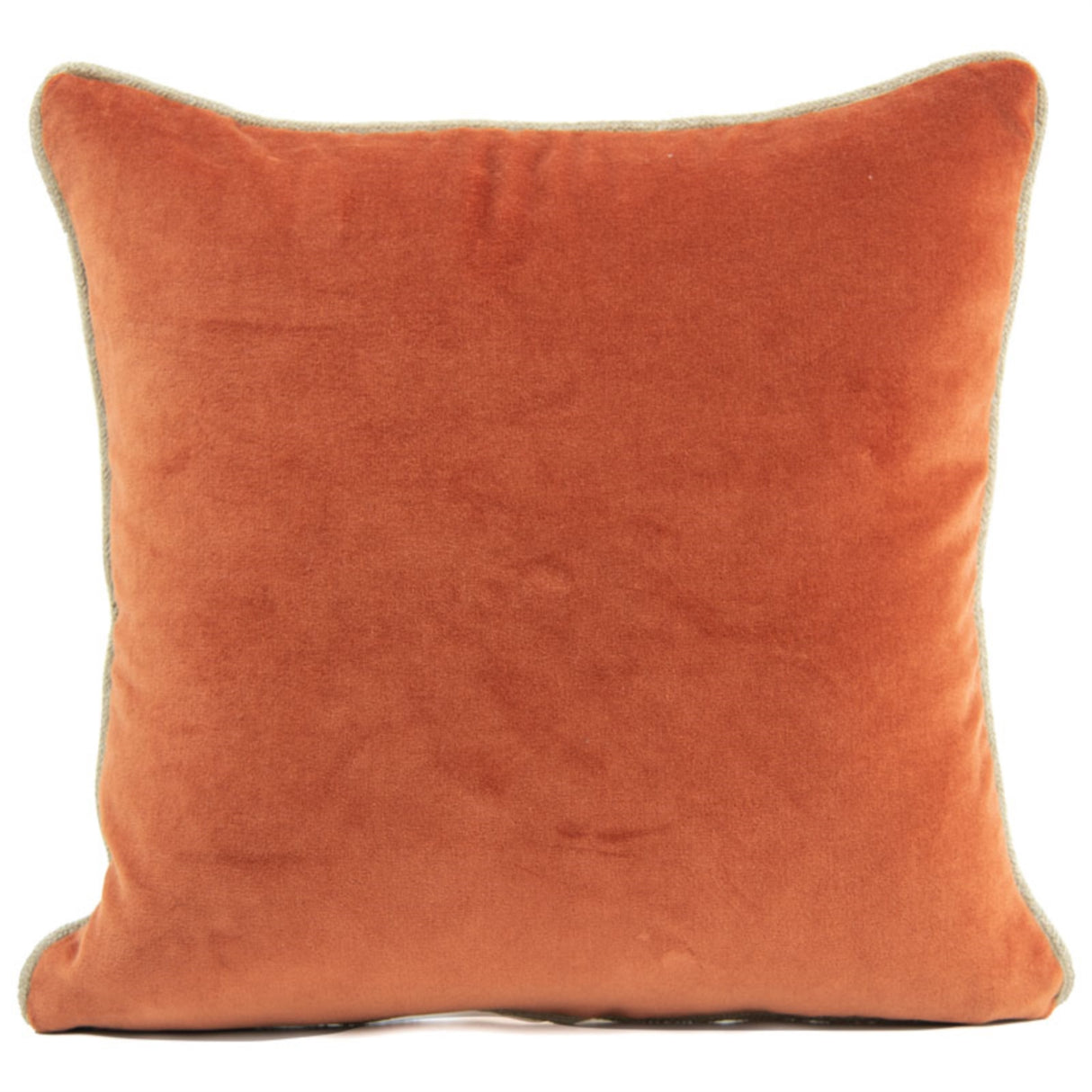 Coussin carré velours ras HAO