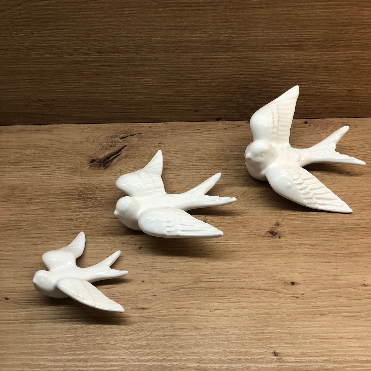 Hirondelle grande DUR