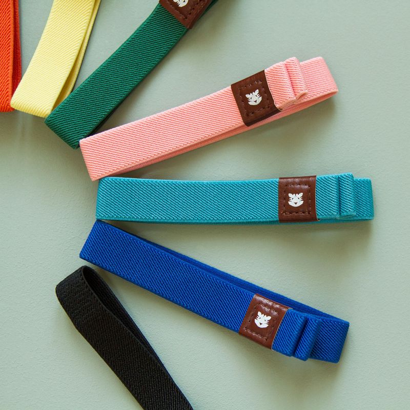 Elastique pour carnet PAP