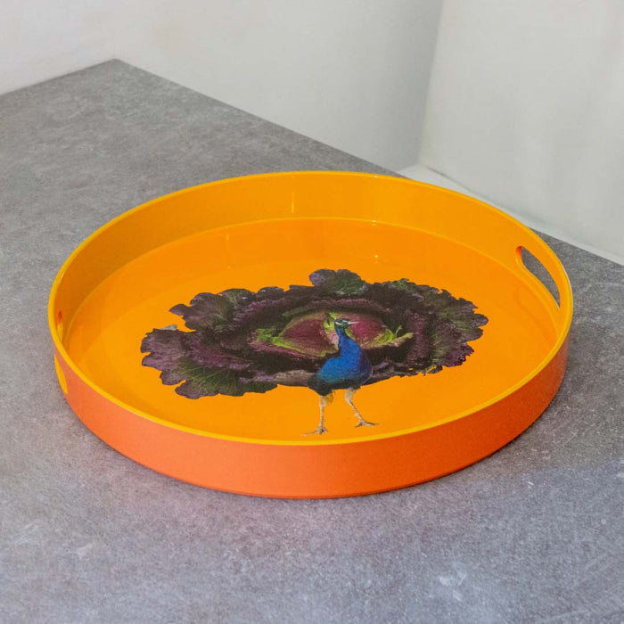 Plateau carré ou rond animaux WD