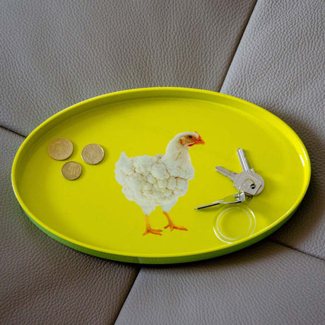 Plateau vide poche animaux WD