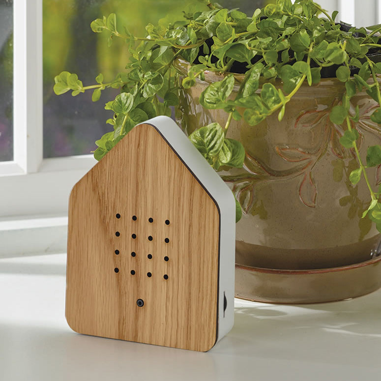 Enceinte bois chant des oiseaux REL