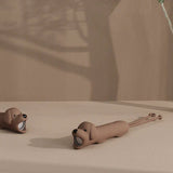 Lampe torche chien ou chat WIN