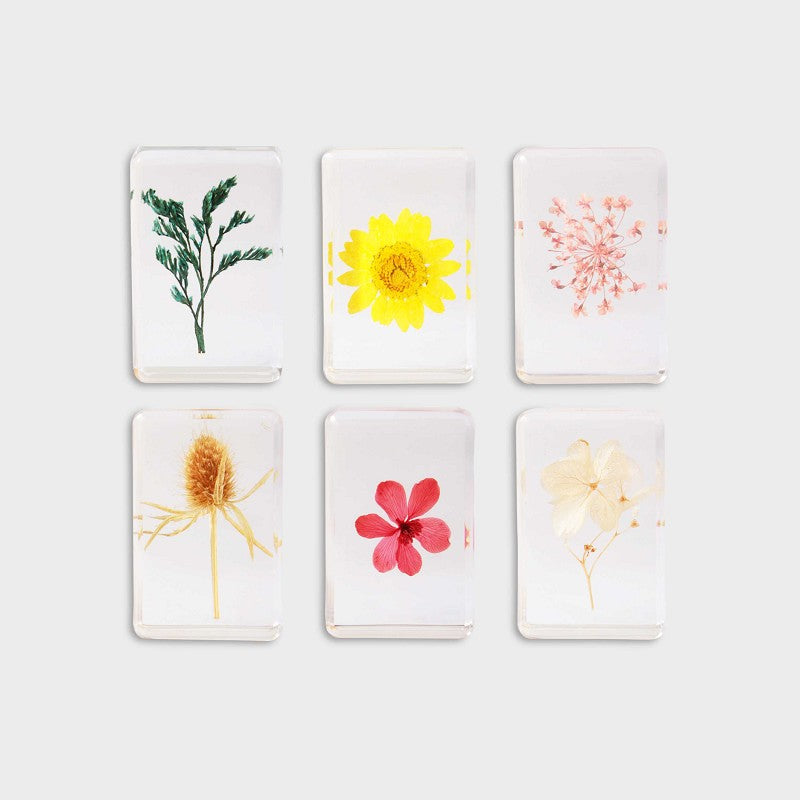 Cube fleur sauvage ou trèfle KLE