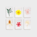 Cube fleur sauvage ou trèfle KLE