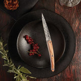 Set de 4 couteaux de table DEE