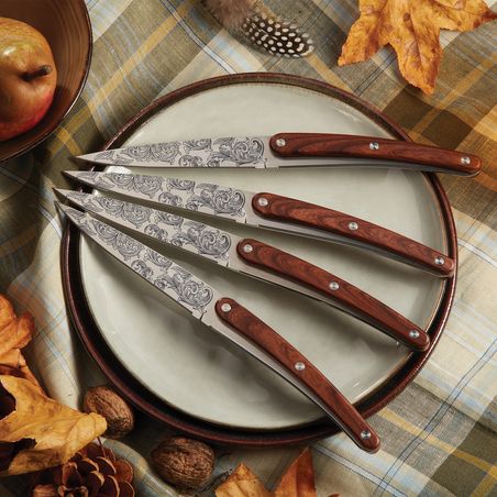 Set de 4 couteaux de table DEE