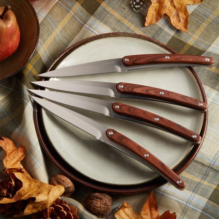 Set de 4 couteaux de table DEE