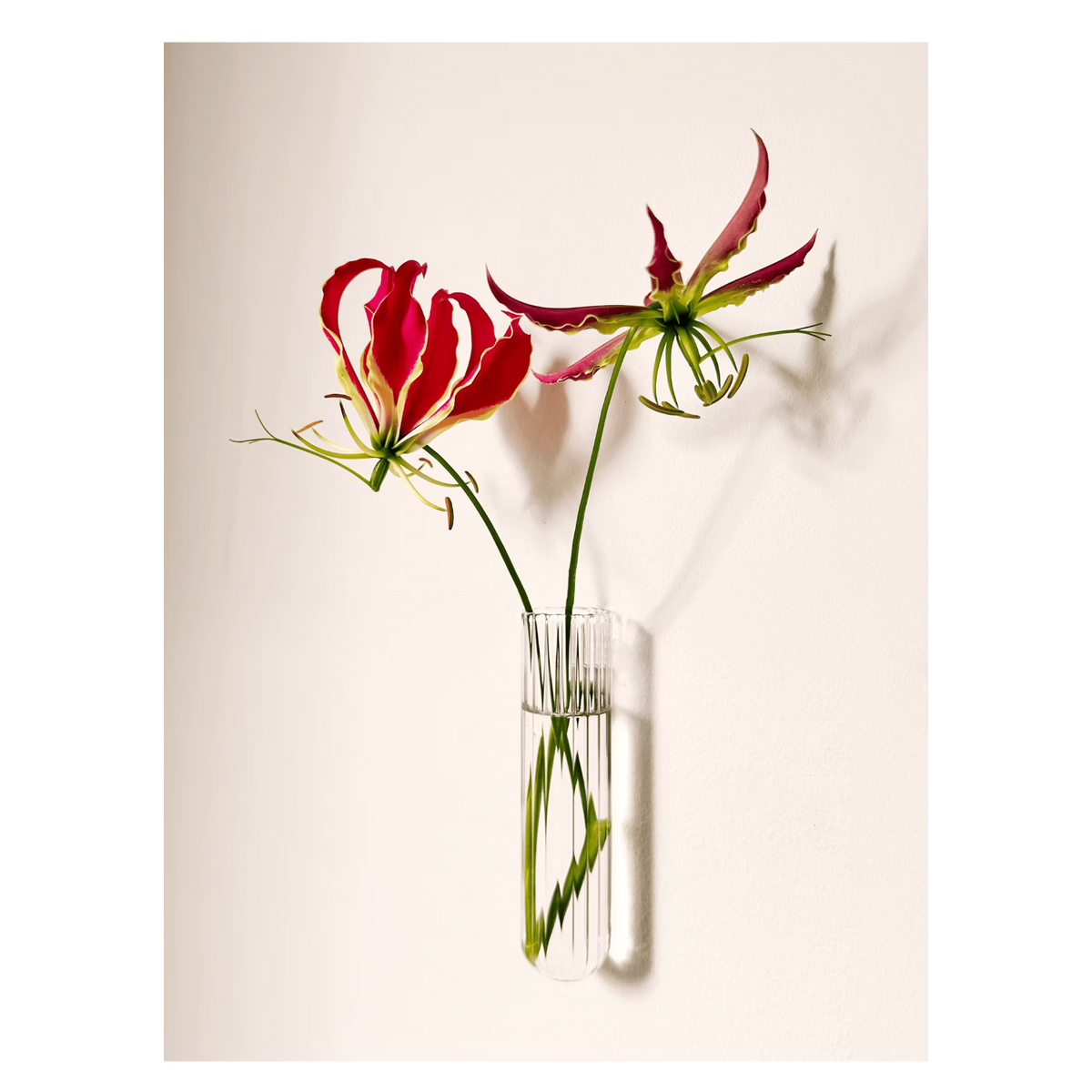 Vase tube verre XL WAL