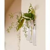 Vase tube verre S WAL