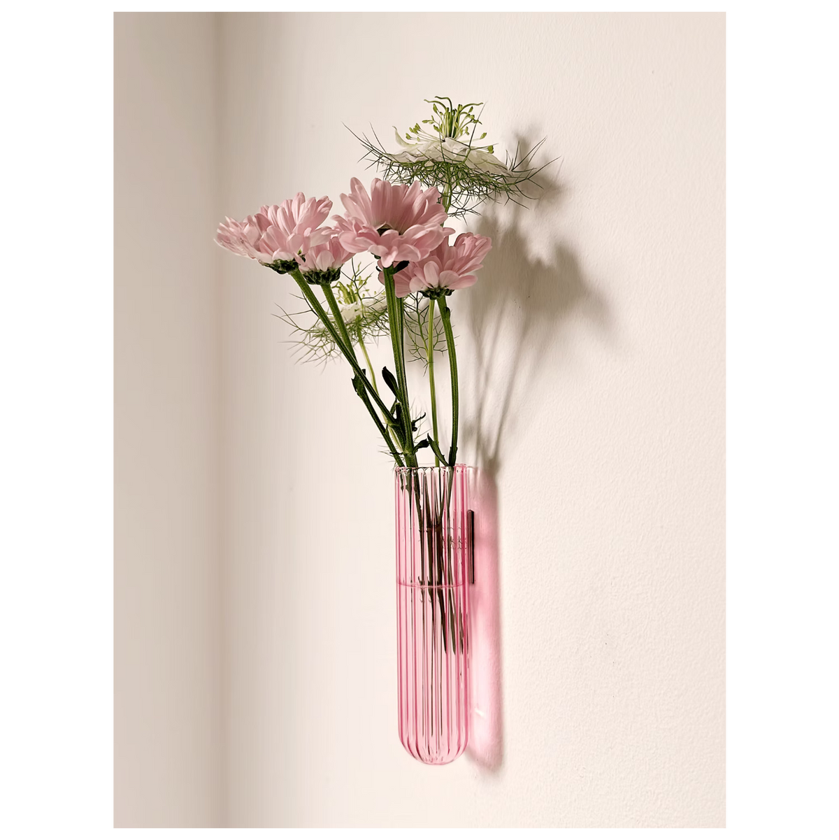 Vase tube verre XL WAL