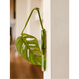 Vase tube verre S WAL