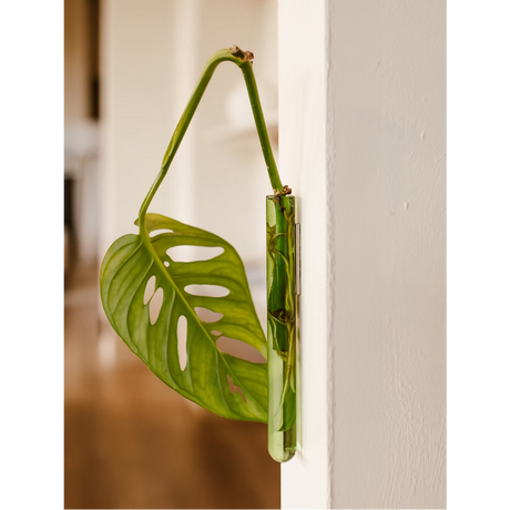 Vase tube verre S WAL