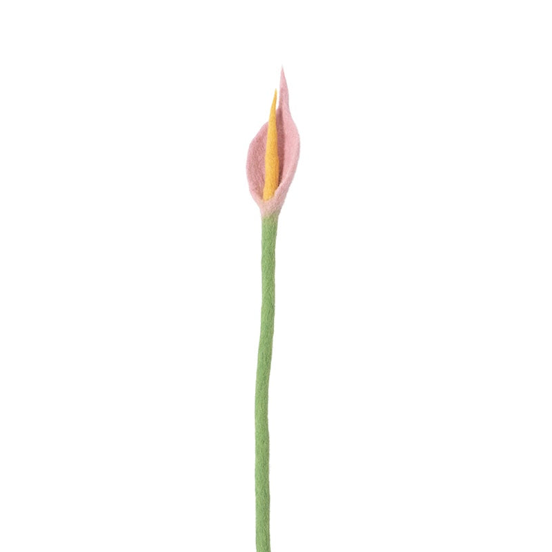 Fleur Laine tous modèles AVE