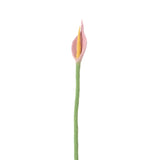 Fleur Laine tous modèles AVE