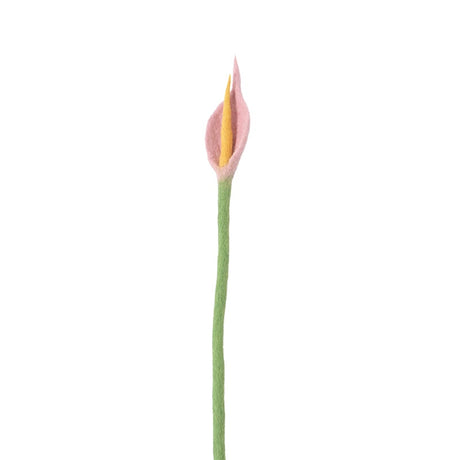 Fleur Laine tous modèles AVE