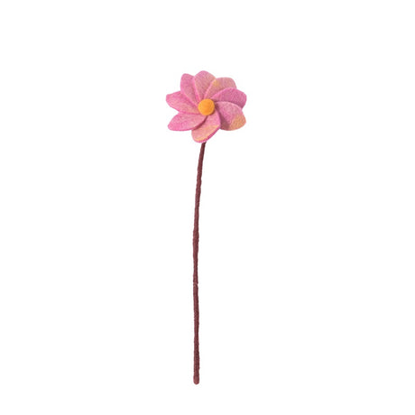 Fleur Laine tous modèles AVE