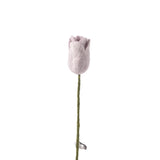 Fleur Laine tous modèles AVE