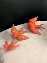 Hirondelle moyenne DUR