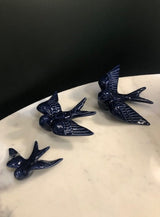 Hirondelle moyenne DUR