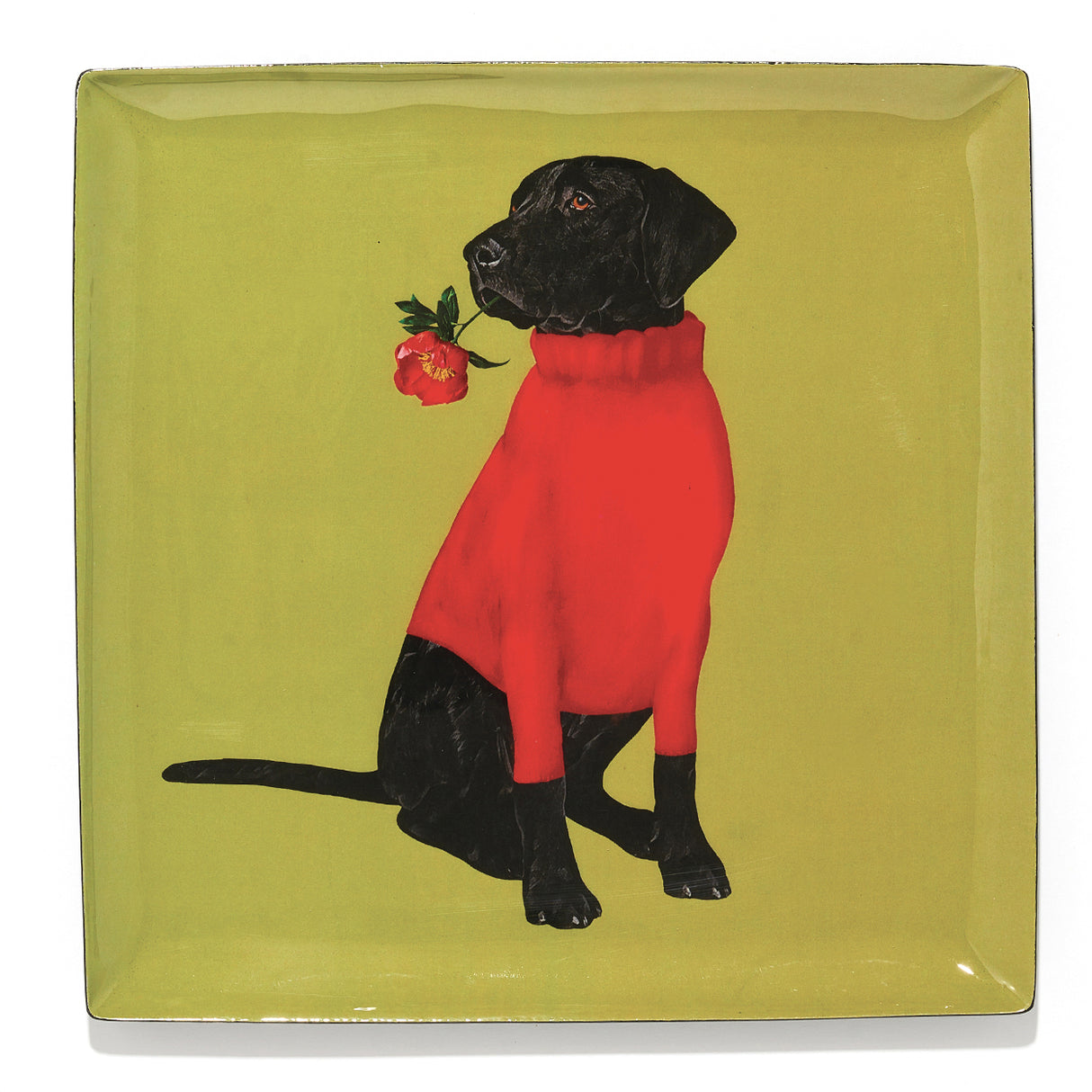 Vide poche rectangle GAN