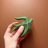 Hirondelle à lignes céramique DUR