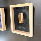 Cadre cabinet de curiosité en bois artisanal AMM