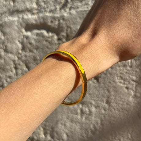 Bracelet jonc fin de  couleur DIE