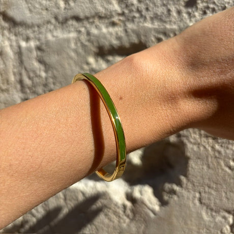 Bracelet jonc fin de  couleur DIE