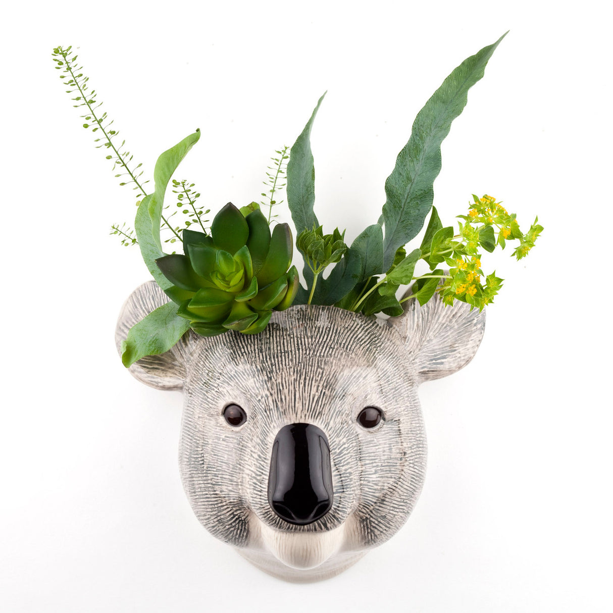 Vase mural animaux petit modèle QUA