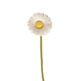 Fleur Laine tous modèles AVE