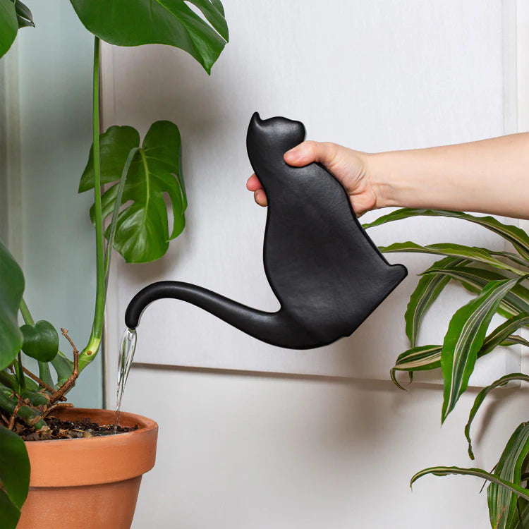 Arrosoir chat en céramique KIK