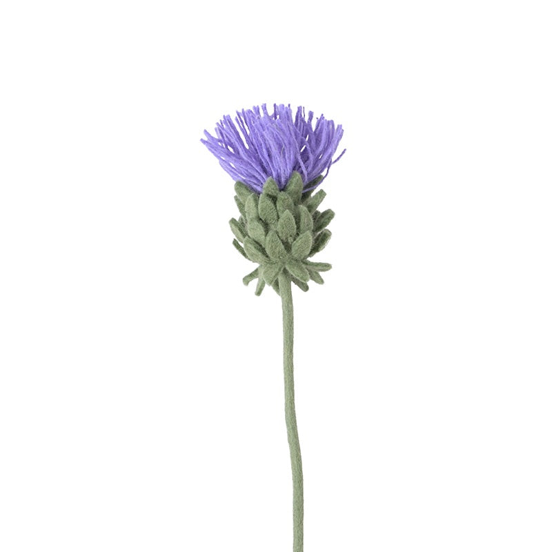 Fleur Laine tous modèles AVE